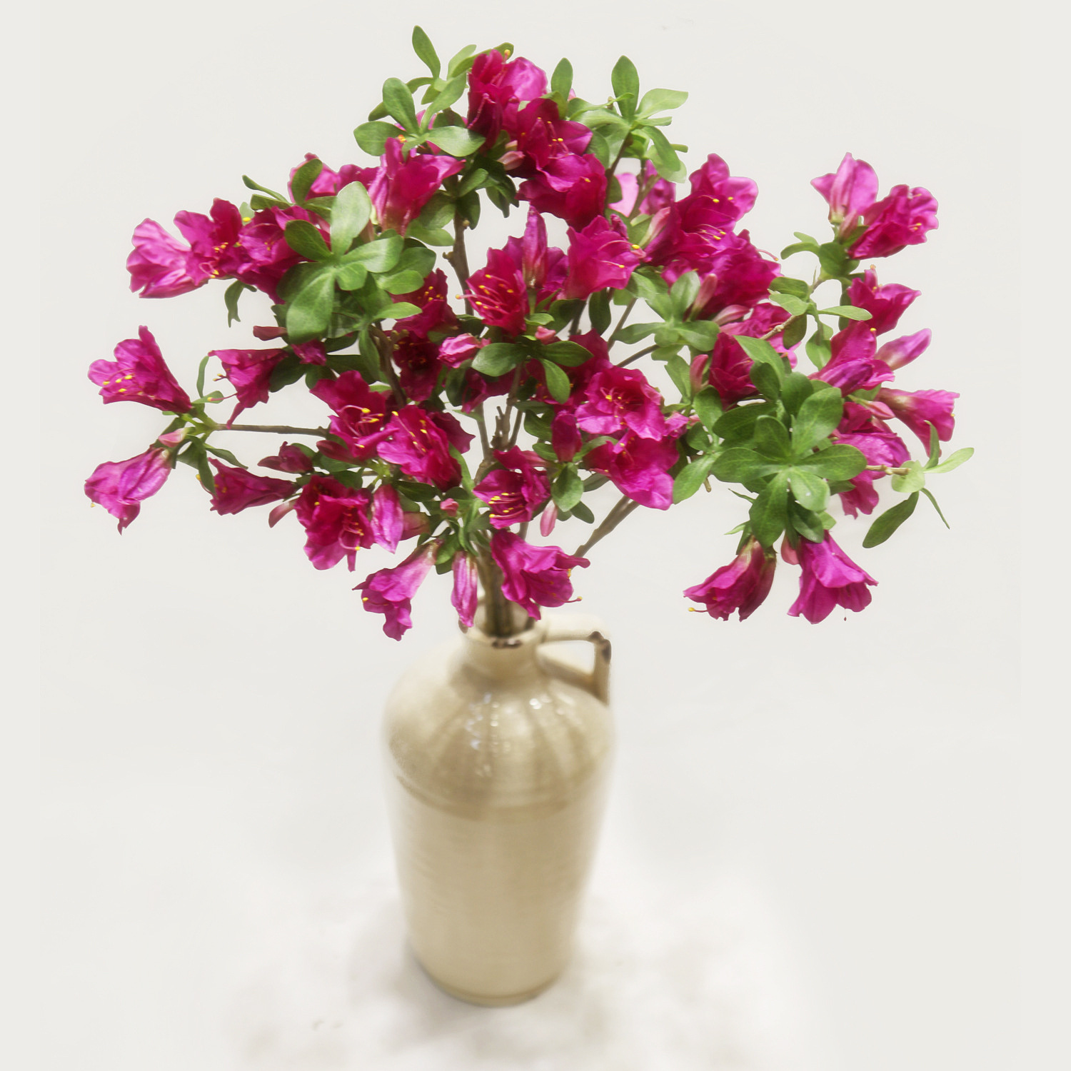 仿真杜鹃花单枝绢花婚庆家居室内外造景花槽花坛插花假花仿真花