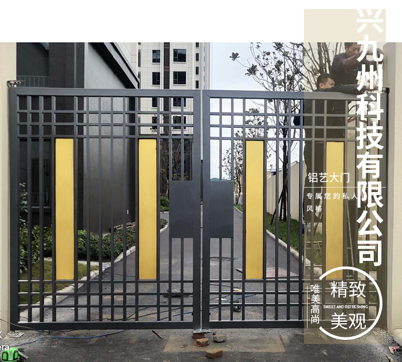 供应锌钢烤漆大门 小区庭院双开大门 安全防护庭院门