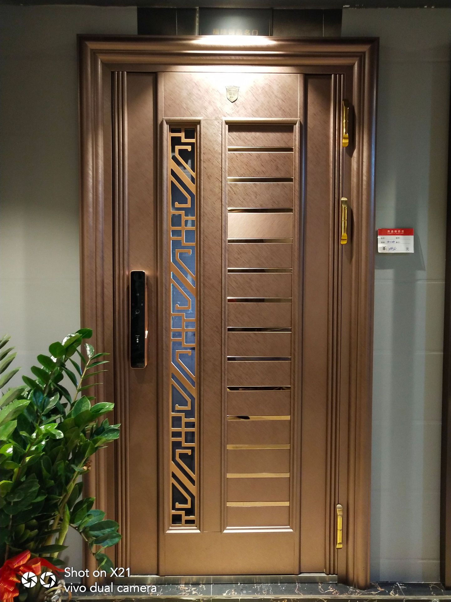 厂家直销豪华不锈钢韩式门 不锈钢防盗门  进户大门