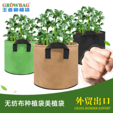 跨境加厚无纺布混合搭配5个装种植树袋育苗美植袋加仑花盆growbag