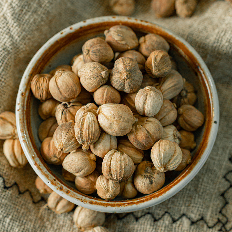 【散货白蔻】豆蔻肉寇白蔻玉果白香果卤菜火锅500克香料火锅调料