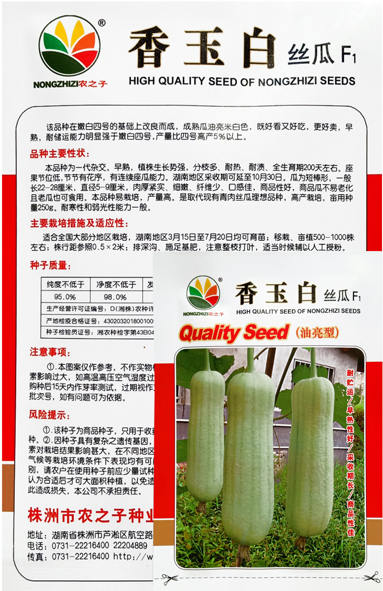 白皮丝瓜种籽农家四季早熟大肉丝瓜春秋季白玉丝瓜种子蔬菜种孑