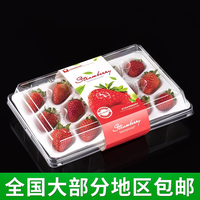 一次性草莓盒子水果打包盒pet保鲜盒 精品草莓包装盒12粒15大果盒