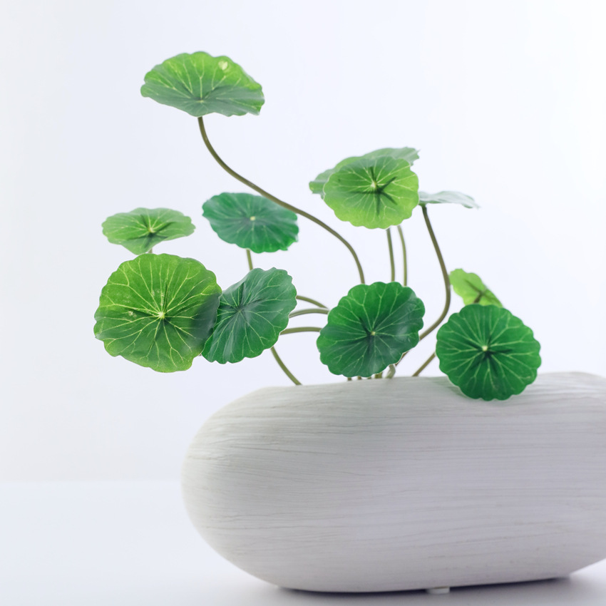 仿真花铜钱草