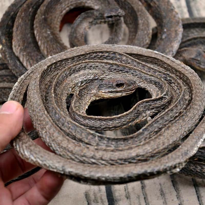 材乌稍蛇养殖500g四川乌稍蛇干货整盘不断裂100g支持药检