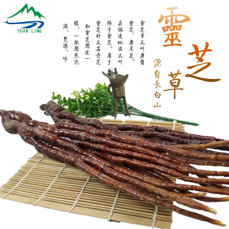 东北长白山 新品整枝佛手灵芝草林芝鹿角500g滋补泡酒煲汤泡茶