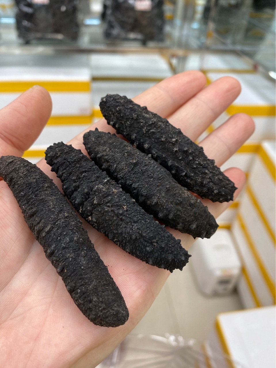 土耳其海参淡干海参小米参刺参干货滋补品