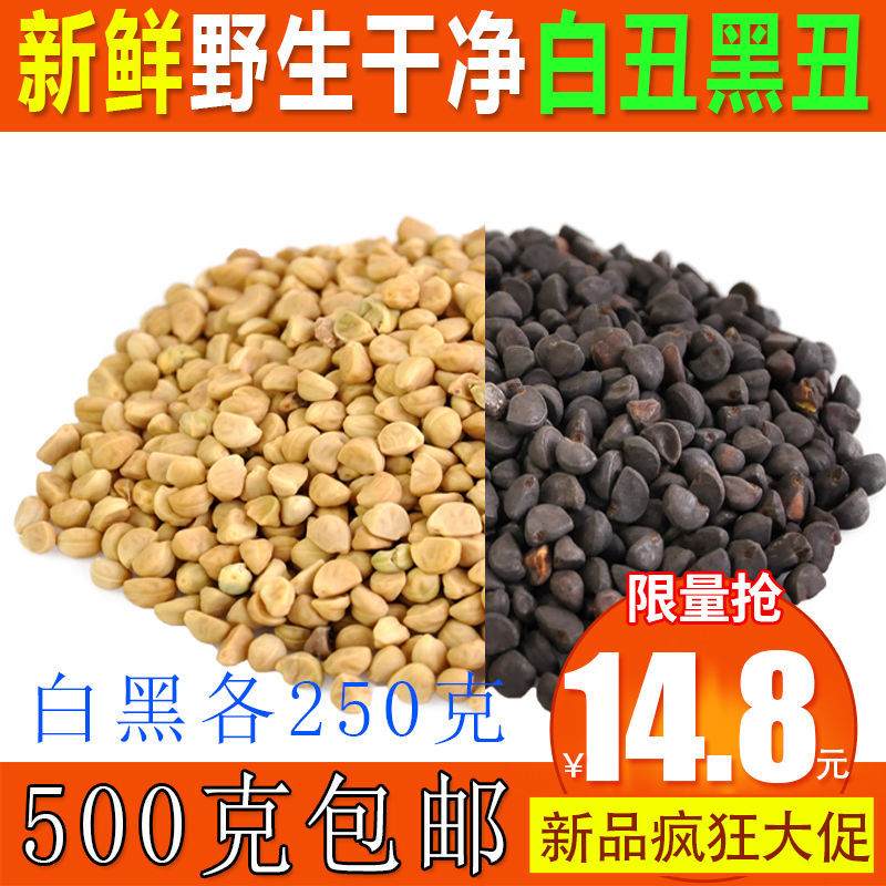 黑白丑 二丑 黑丑 白丑 喇叭花子 牵牛子250克包邮