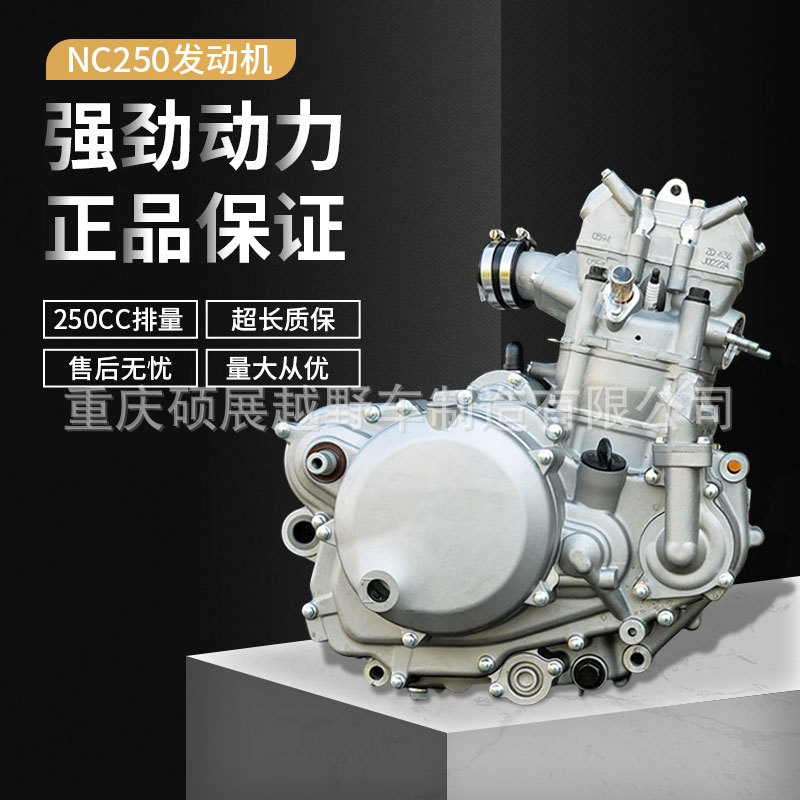 特价 zongshen 宗申nc250发动机 含电器和启动杆 nc250 engine