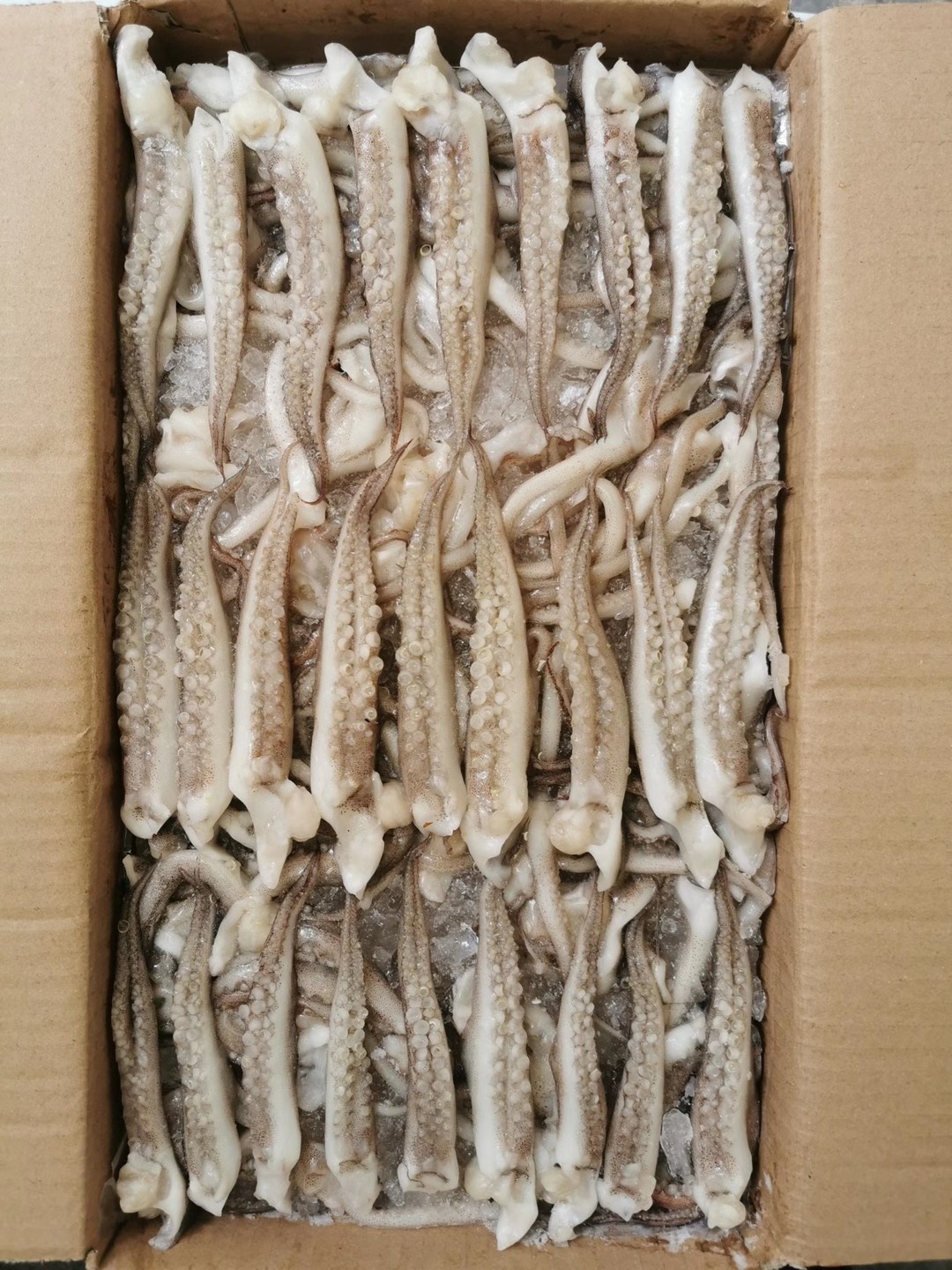 批发供应冷冻烧烤自助干冰鱿鱼须鱿鱼爪章鱼足二本足麻辣海鲜原料