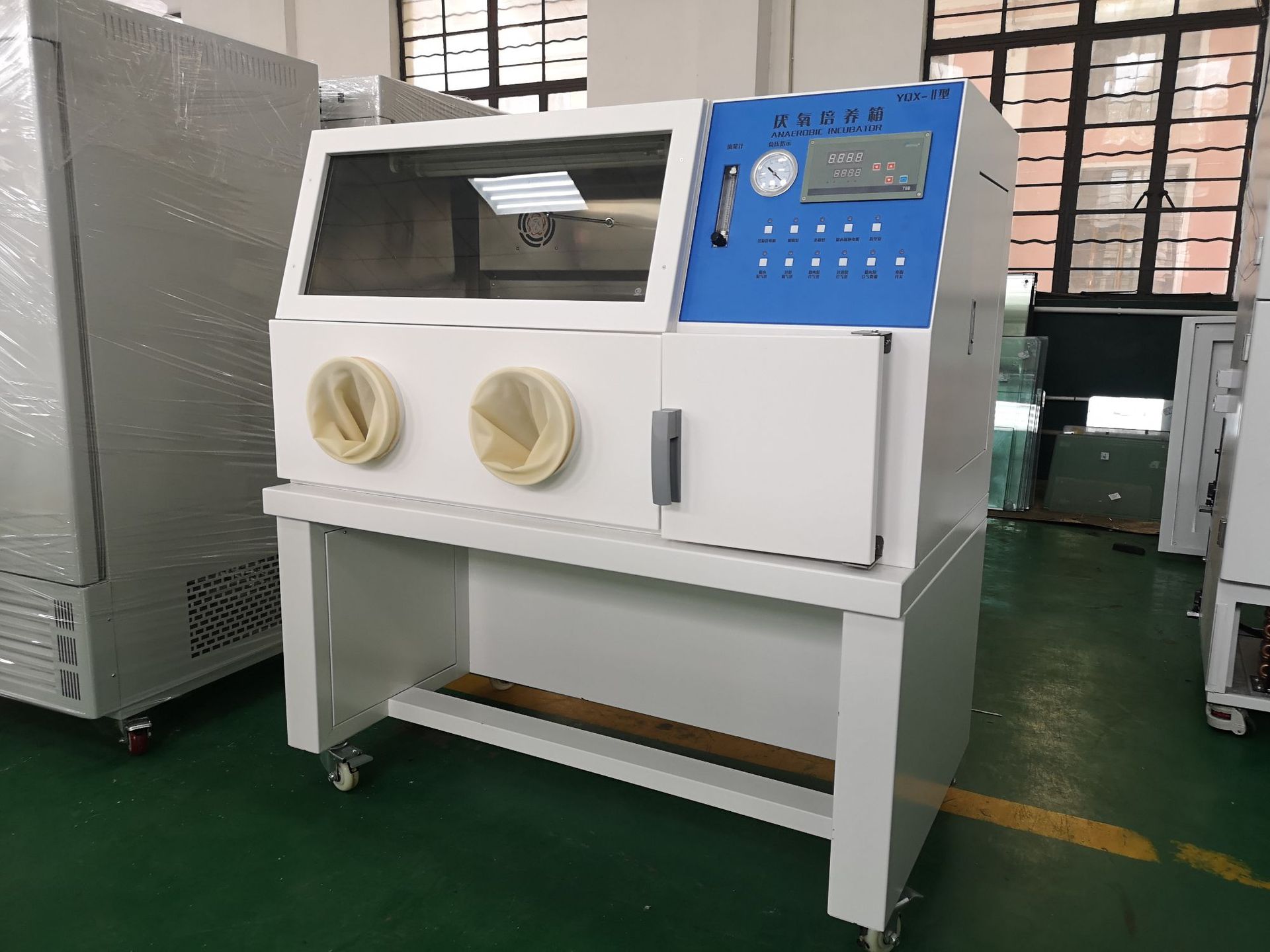 上海厂家生产厌氧培养箱yqx-11 厌氧菌培养箱 质量保障 价格优先