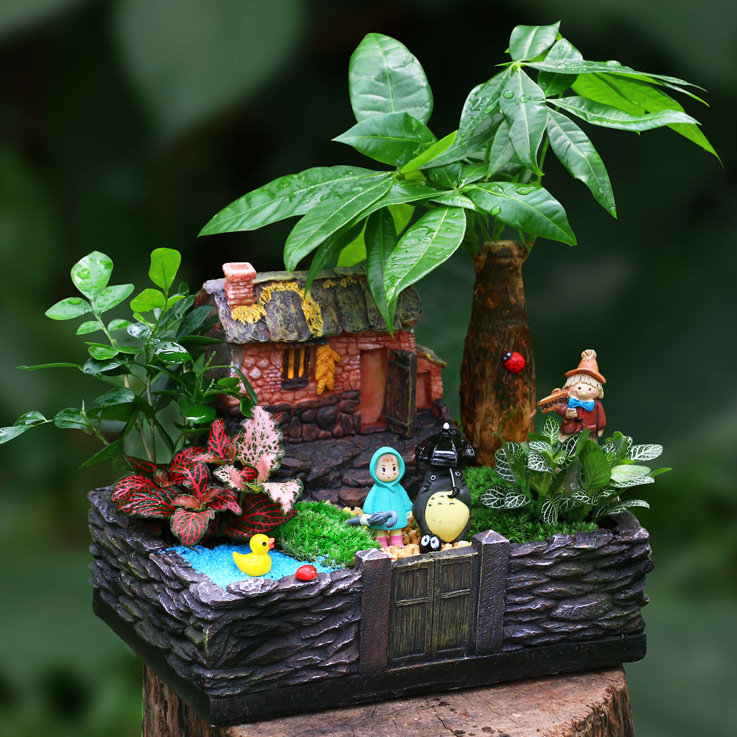 苔藓微景观盆栽植物多肉组合盆栽套餐室内花盆diy迷你盆景送