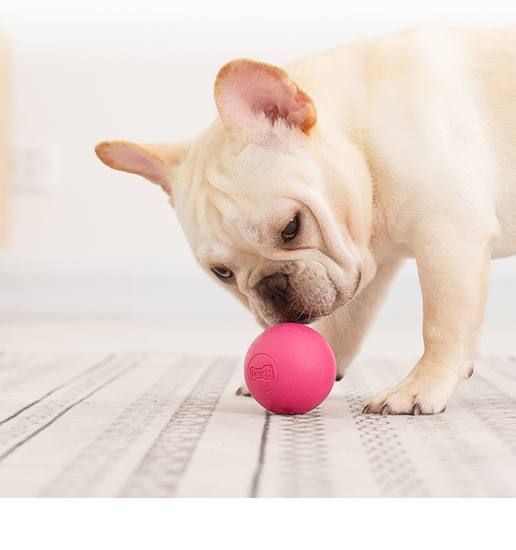 宜特eetoys弹力实心球室内外互动狗玩具球6.5cm橡胶磨牙宠物玩具