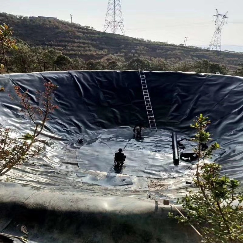 鱼池鱼塘防渗膜藕池种植护坡土工膜蓄水池养殖防水黑色塑料薄膜布