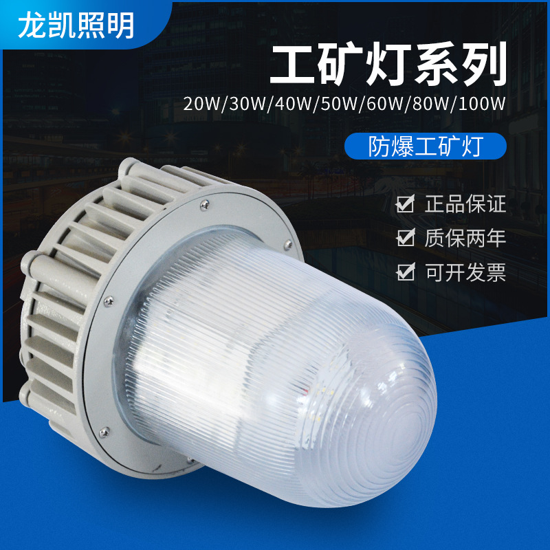 海泽王 防水防尘灯led光源20w100w工矿灯工厂灯系列防爆质保厂家