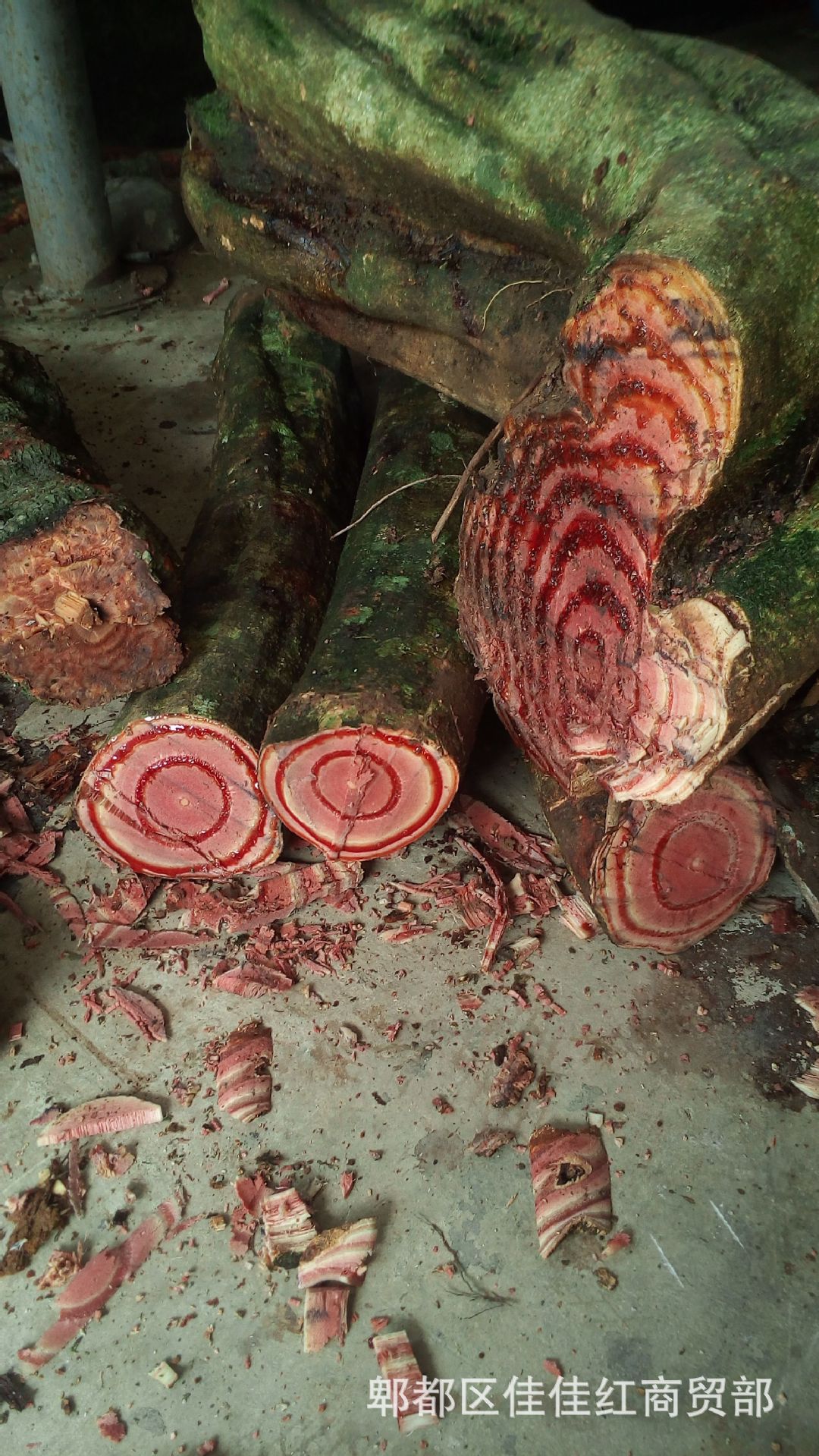 跑江湖地摊热卖新鲜鸡血藤大血藤黑血藤砍砍药大山根子药产地货源