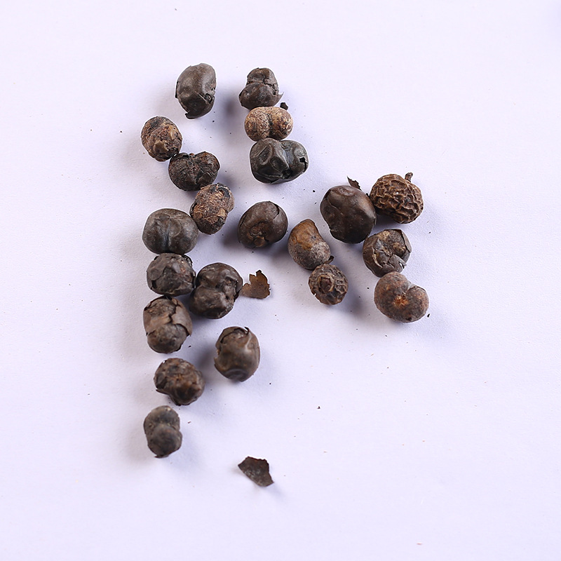 棕榈种子唐棕榈山棕树 龙鳞棕观音竹棕竹葵种子芭蕉伞树种子