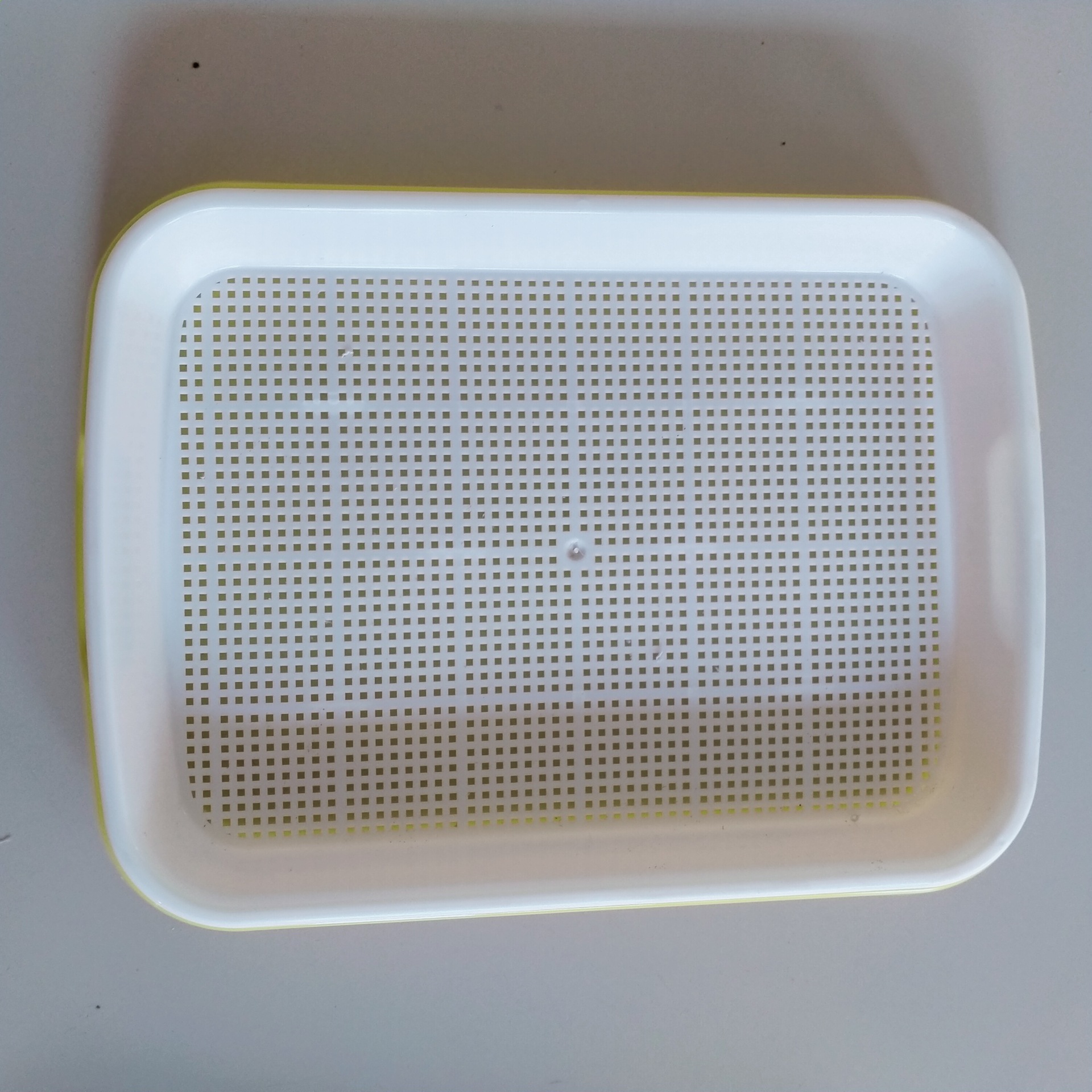 阳台多肉种植双层育苗接水塑料托盘接水底盘为黄色透水盘为白色