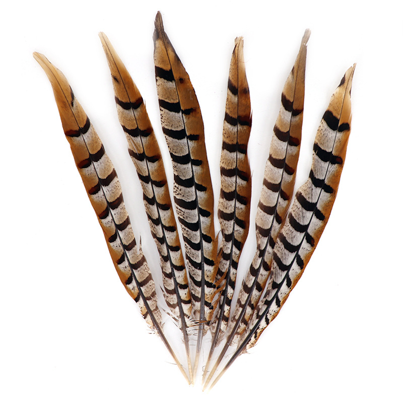现货批发地鸡尾30-35cm野鸡羽毛翎子插花家居装饰表演帽子饰品