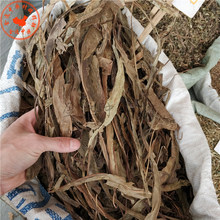 七星剑中药材 七星草小叶骨牌草 丹瓦剑草 干品中草药