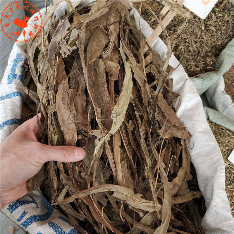 七星剑中药材 七星草小叶骨牌草 丹瓦剑草 干品中草药