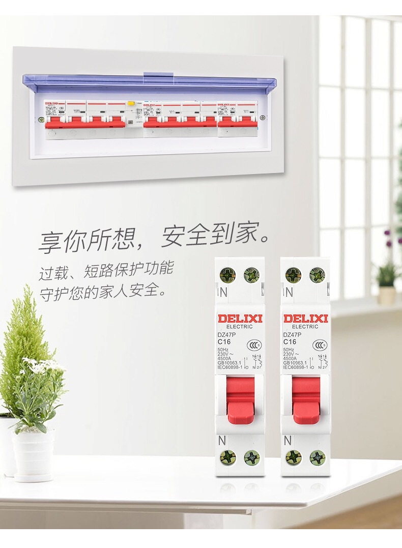 正品德力西dz47p家用空开10a16a20a25a断路器双进双出空气开关32a