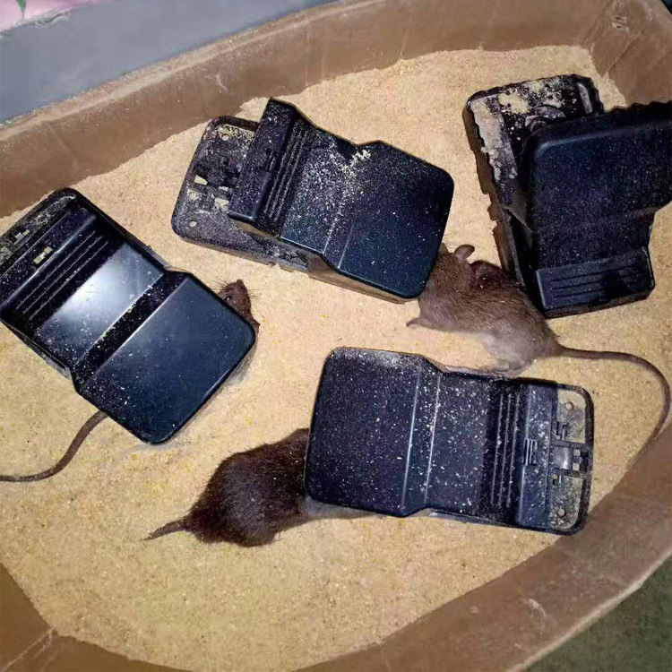 厂家直批高灵敏猛咬式大号塑料老鼠夹捕鼠灭鼠逮鼠器捕鼠器