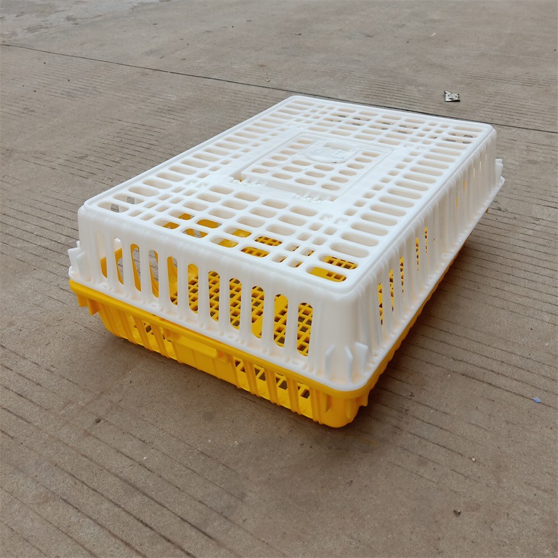 东莞厂家供应9斤塑胶鸡笼成鸡周转运输笼加厚鸭笼新料厂家直销