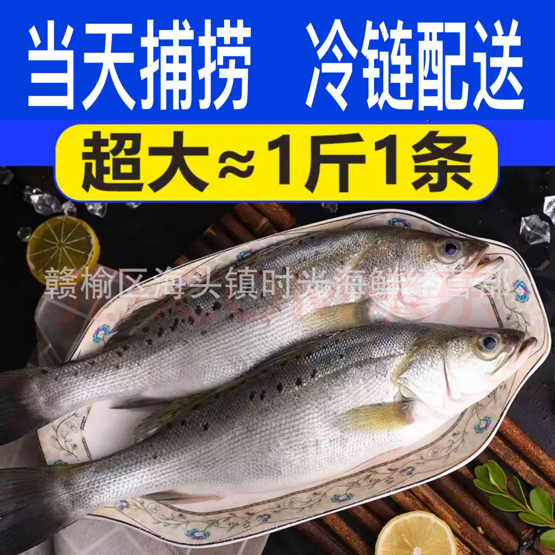 8成交1034条黄花鱼大黄鱼黄鱼冰鲜冷冻黄花鱼黄鱼新鲜冷冻水产海鲜