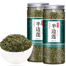 半边莲 韩信草 半边花 箭豆草 中药材批发中草药药材店铺