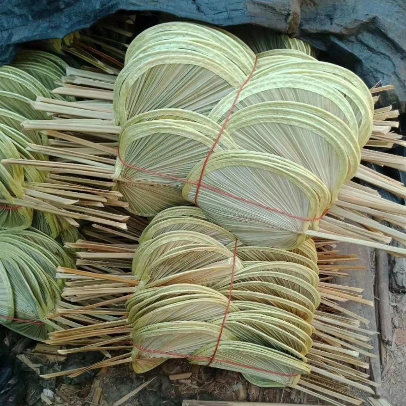 芭蕉扇植物扇子夏季大蒲扇5元店地摊小商品赶集货源江湖货葵扇_泰丰