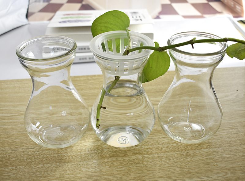 风信子玻璃花瓶 水培养殖水培植物玻璃瓶 水仙花盆 创意水培花瓶