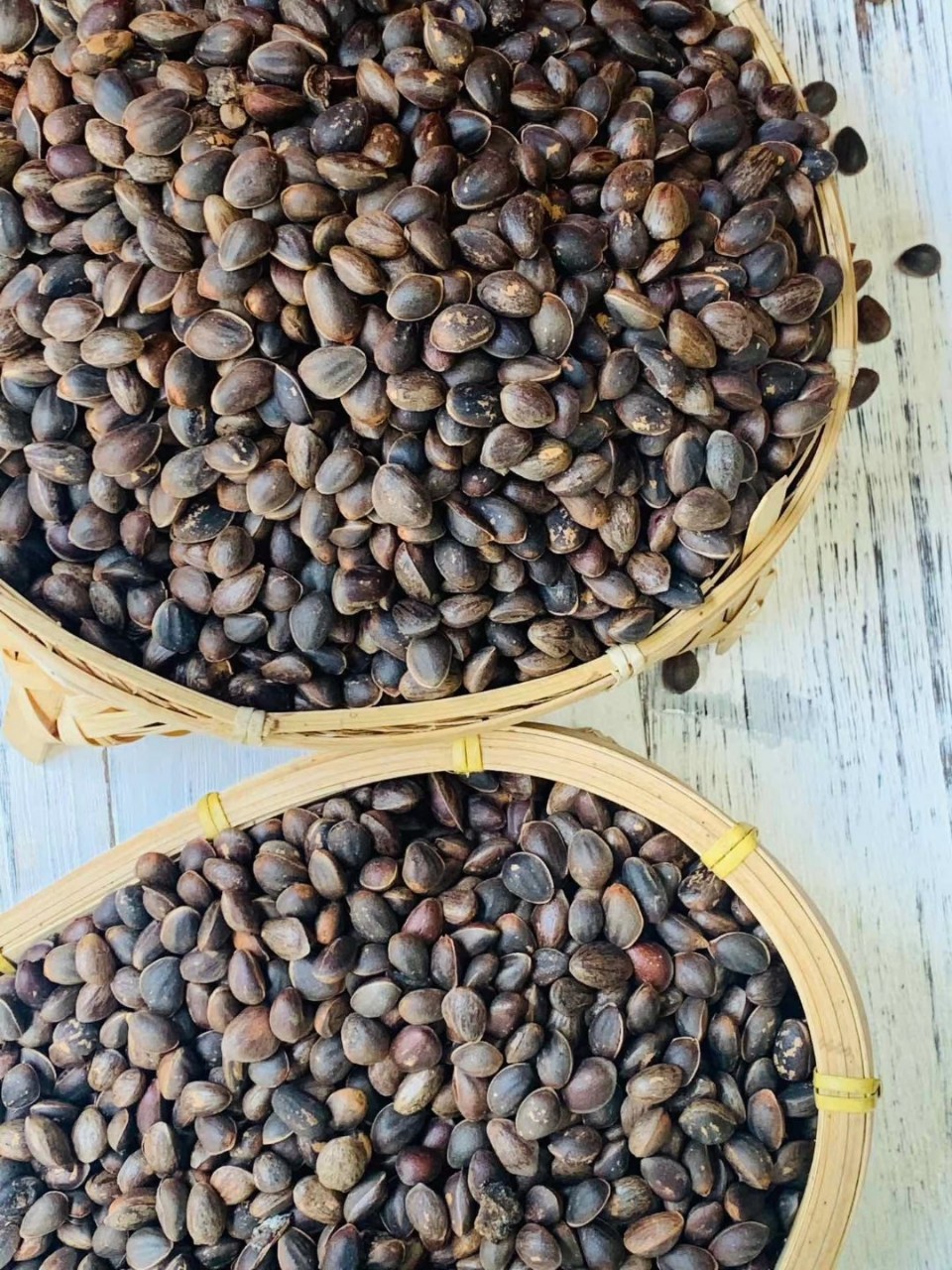 云南落水松子新鲜生的散装当年新货手剥湿松子原味大颗粒坚果