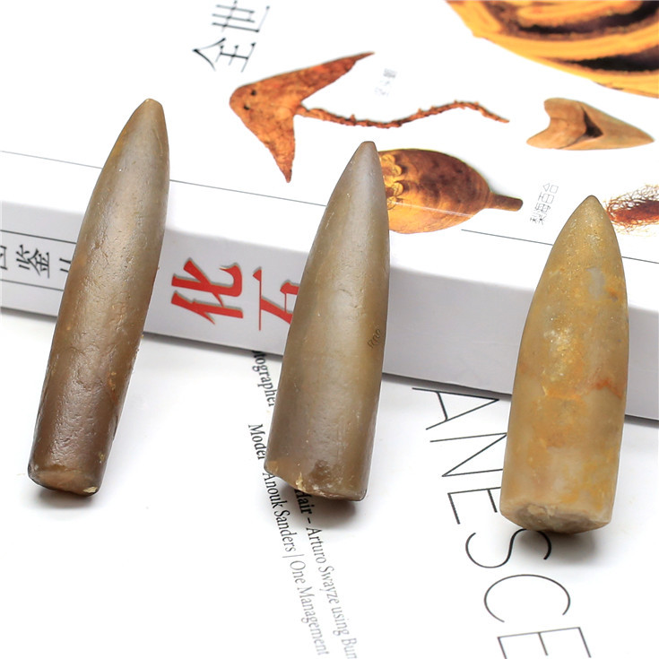 天然笔石化石标本 古生物动物化石原石原矿 吊坠饰品