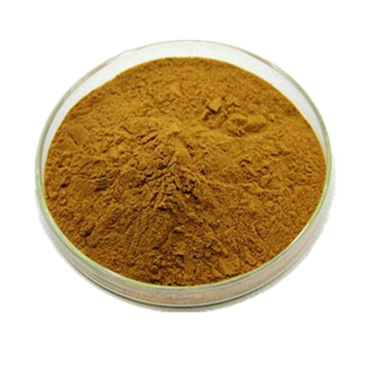 洋蓟素2.5% 朝鲜蓟提取物 菜蓟提取物 洋蓟提取物cynarin 1kg起售