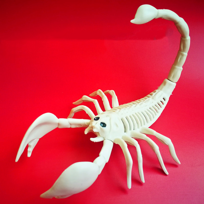 万圣节鬼屋密室逃脱布置道具骷髅蝙蝠蜘蛛蝎子恐怖动物骨架骷髅头