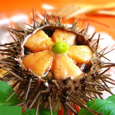 产地货源黄海胆鲜活即食食材料黄金海胆刺身新鲜生鲜水产活鲜