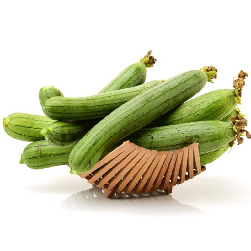 五叶香长丝瓜种子四季播超长八棱瓜八角棱角肉丝瓜种子高产丝瓜苗