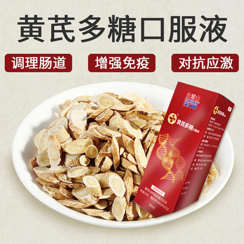 黄芪多糖口服液中药调理肠道应激疫苗伴侣拉稀增强免疫猫咪狗狗