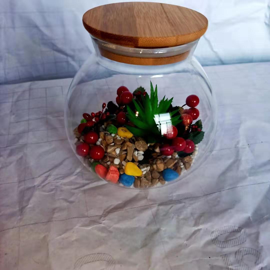 批发大中小号生态瓶带木盖 微景观生态瓶 软木塞圆形玻璃密封罐