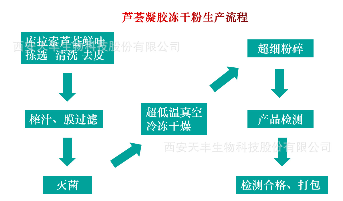芦荟凝胶冻干粉生产工艺.png