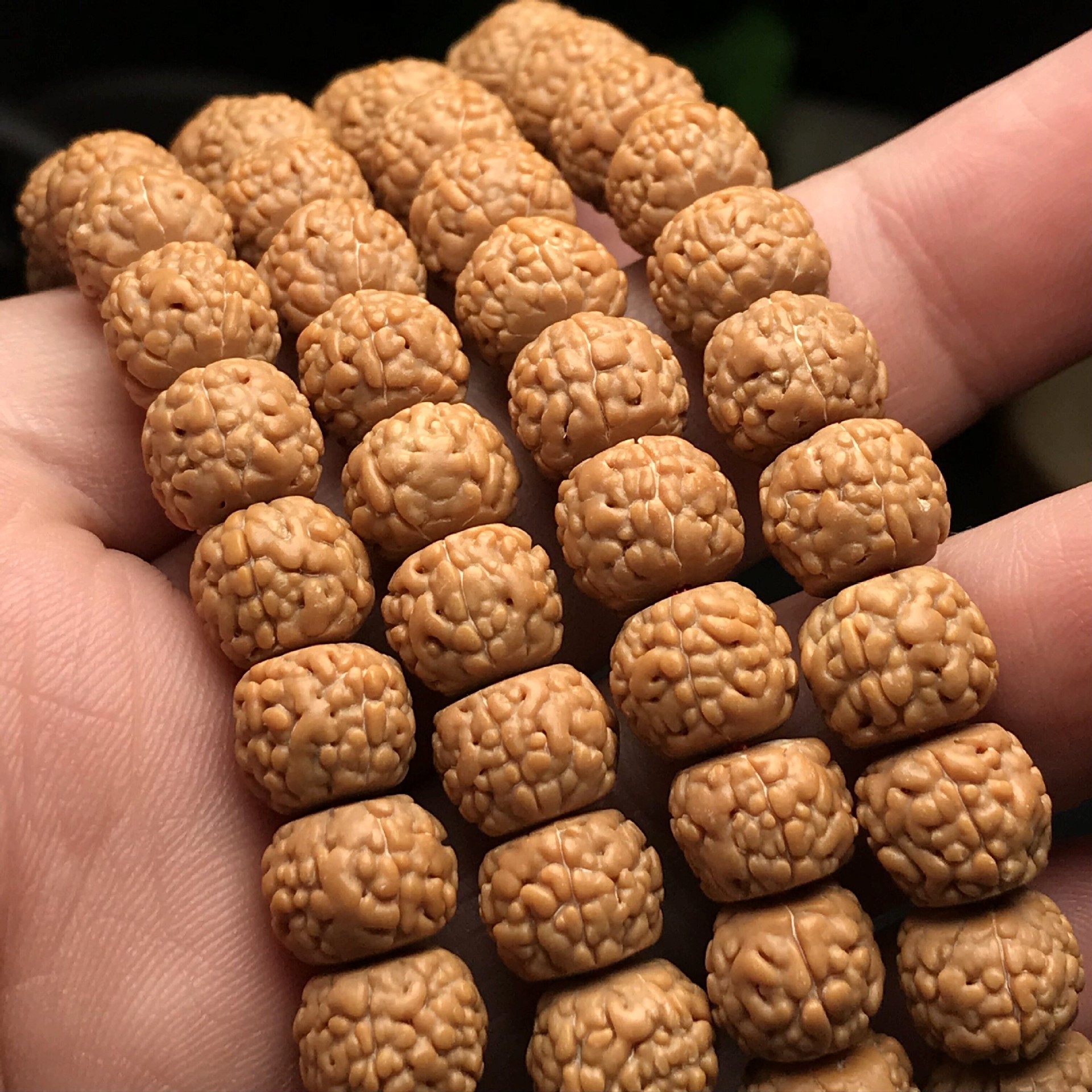 红皮五5瓣藏式龙鳞纹小金刚菩提108男女款手链