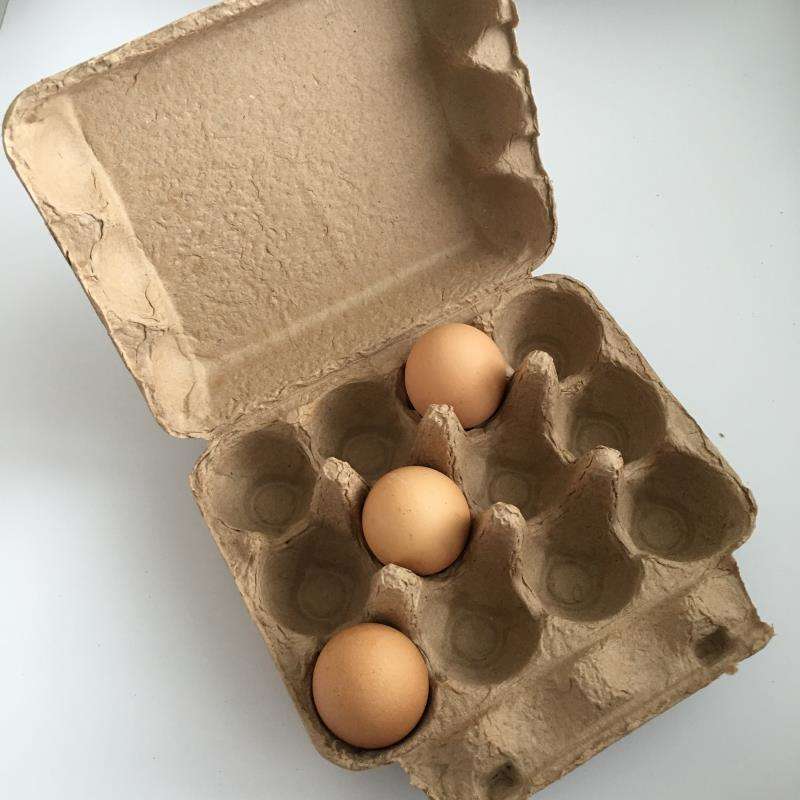 红酒纸托 葡萄酒包装纸浆盒 红酒托 纸浆模塑 外卖纸托包装 西奥