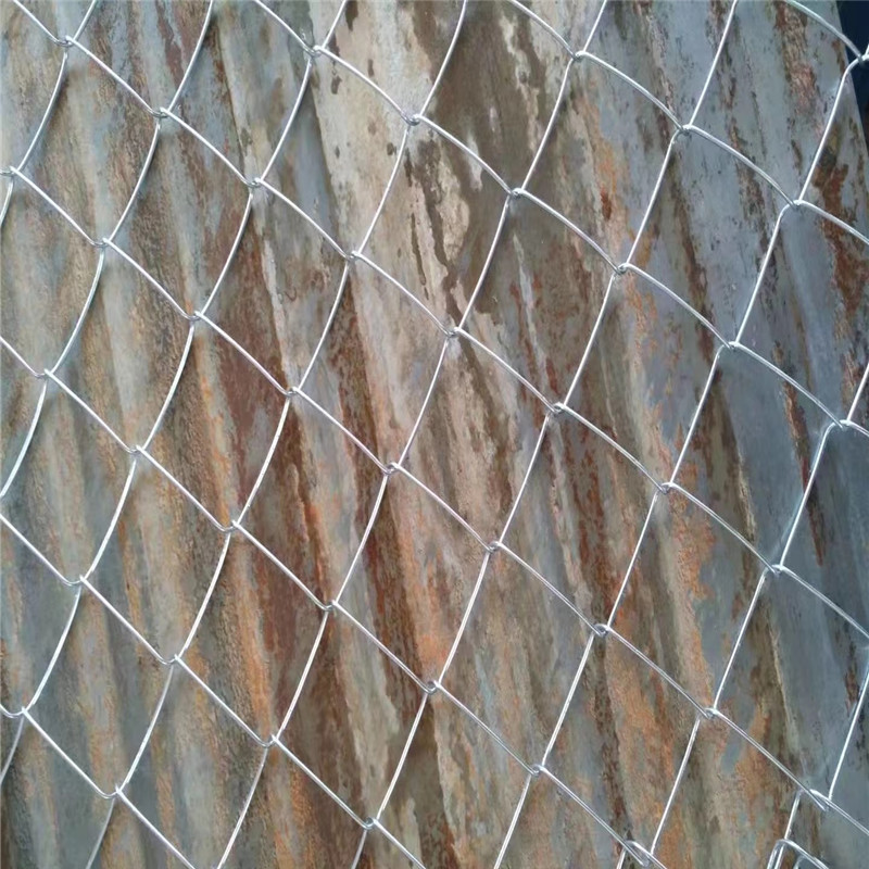 镀锌钢丝网边坡绿化钢丝网 勾花网喷播植草铁丝网护坡喷浆铁网