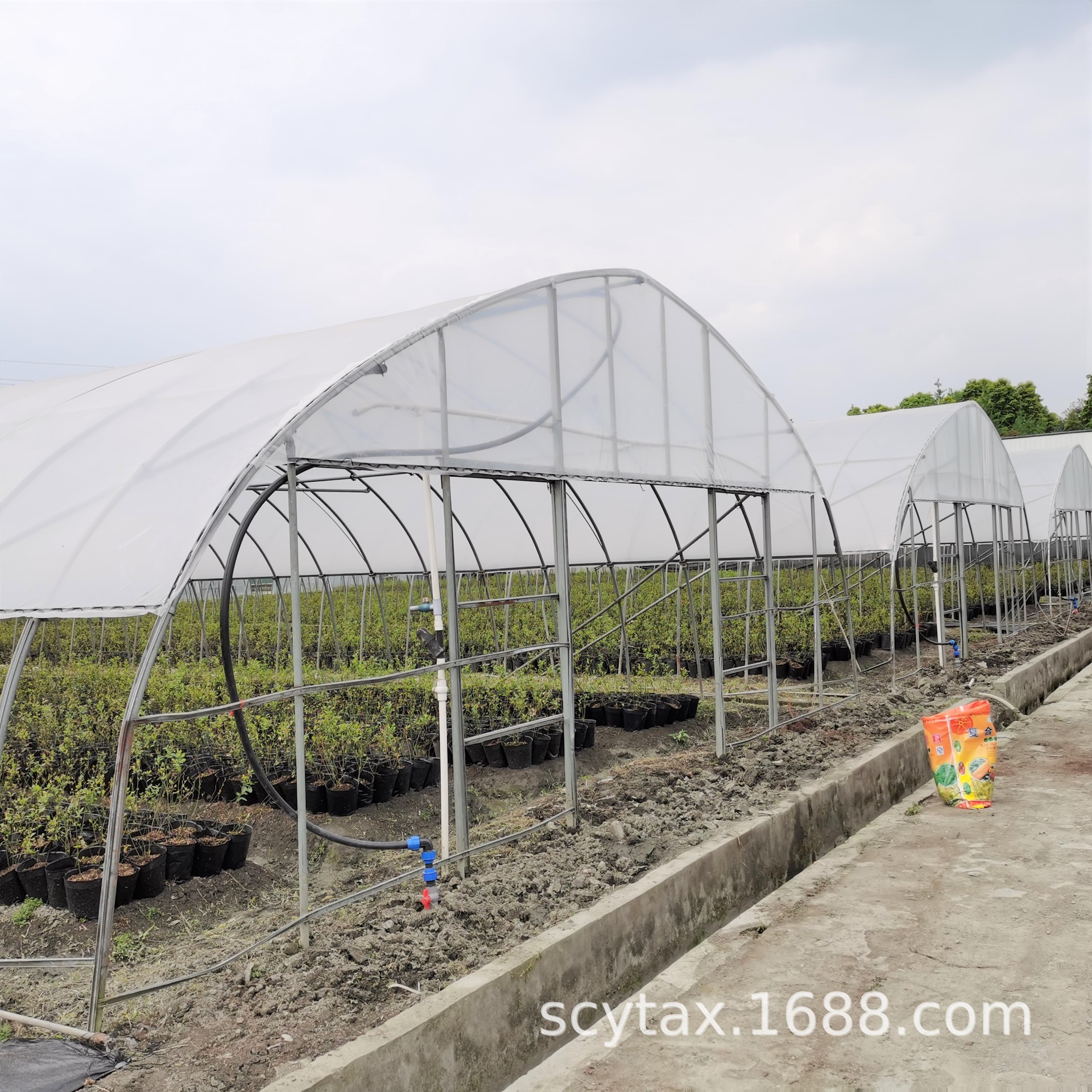 四川温室大棚 蓝莓避雨棚 葡萄避雨棚 水果避雨栽培 定制加工维修