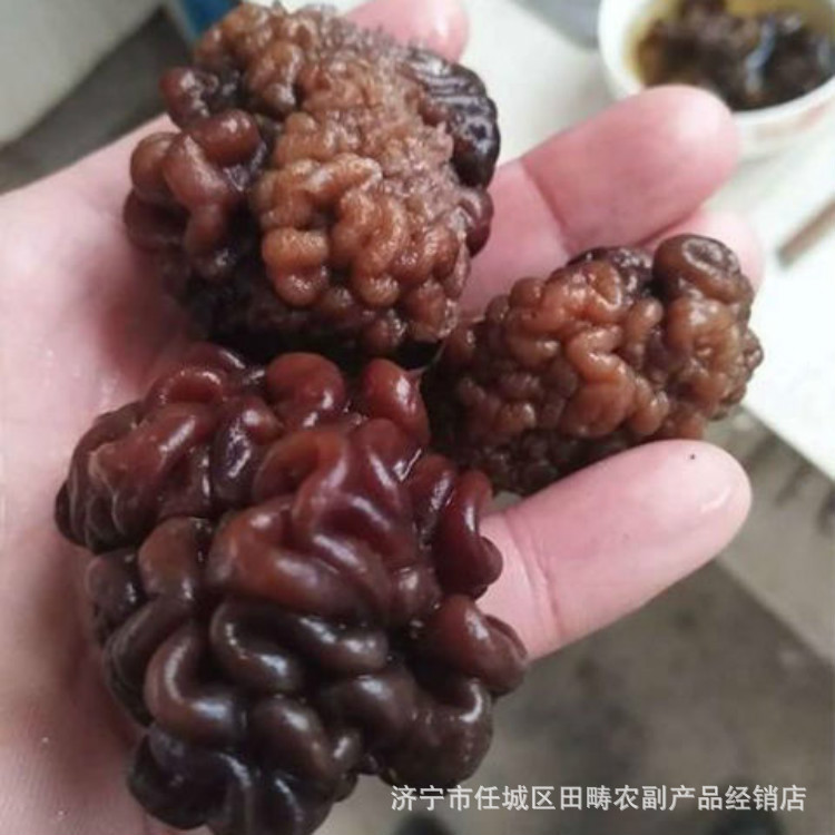 猴脑菌直发酒店食材核桃菌供应产地直销2020年新品