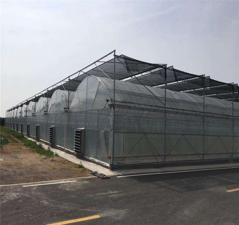 成都德农川温室连栋大棚 外遮阳内遮阴智能连栋大棚 多肉植物大棚