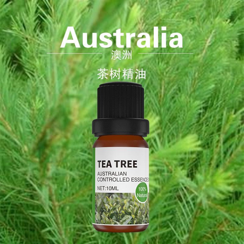 澳洲茶树精油10ml 全身按摩通经络面部开背刮痧推拿植物芳疗精油