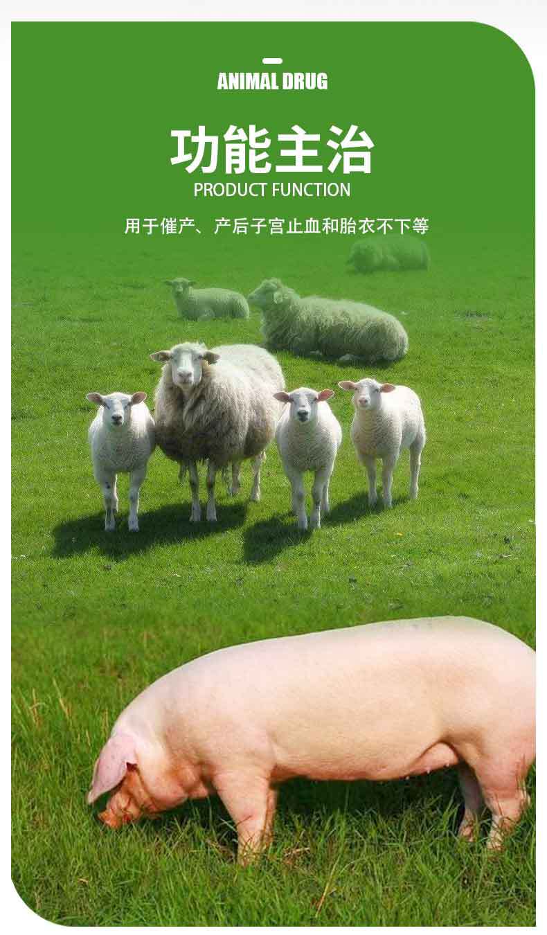 兽药兽用缩宫素注射液猪马牛羊兔狗猫母畜催产针产后子宫止血