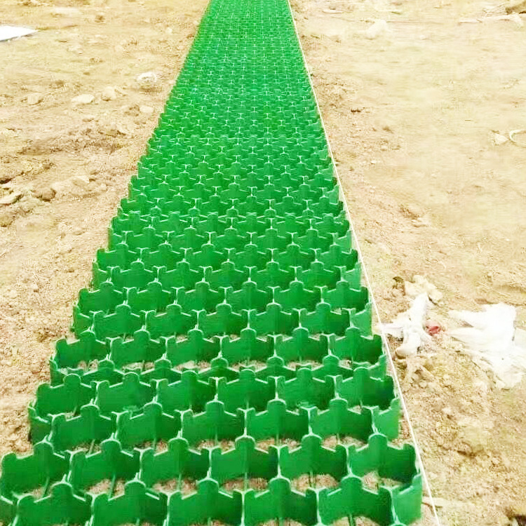 厂家直发工地植草格园林小区景观绿化塑料植草格植草砖7公分